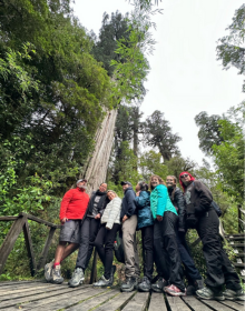 Alercen Pumalin NP
