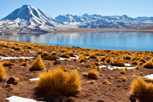 Altiplanic lagoon