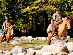 Arrieros Cochamó