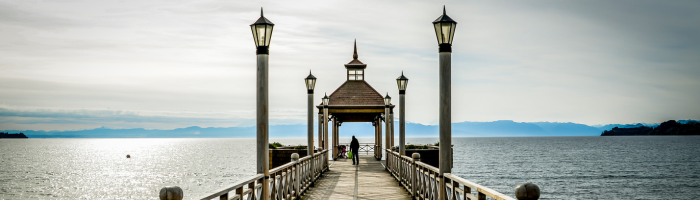 Bridge frutillar