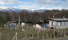 Cancato 02
