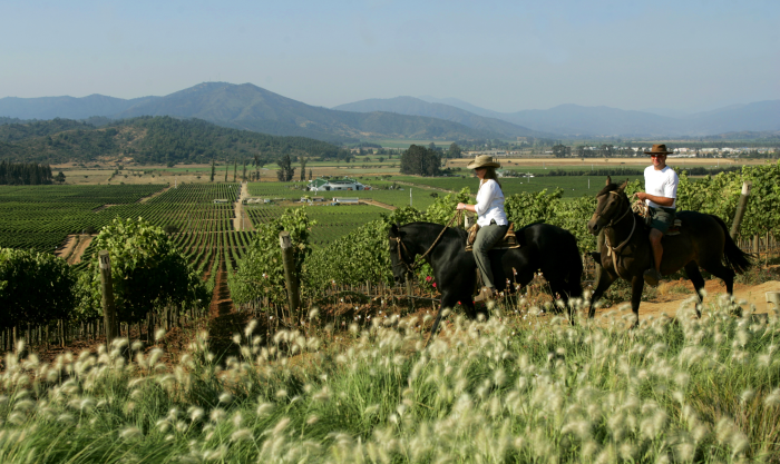 Casablanca Valley