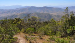 Santa Inés nature reserve Chile