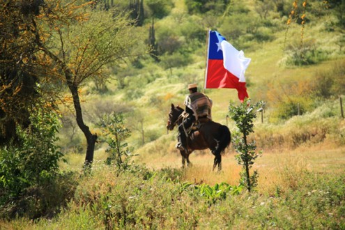 Chilean Huaso