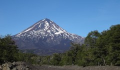 Conguillio 1 klein