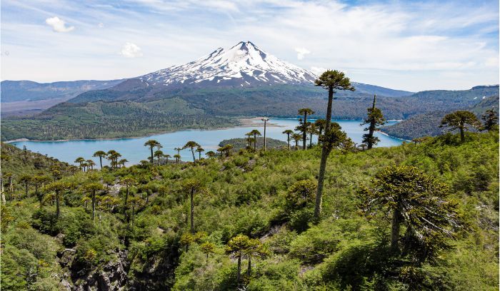 Conguillio National Park