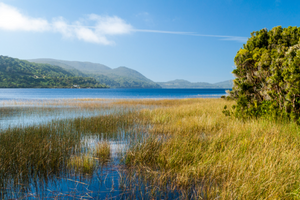 Cucao lake in Chiloé National Park