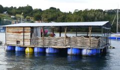 Curanto in a floating restaurant