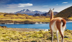 Torres del Paine Nationalpark