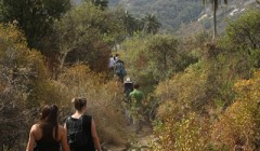 Hiking in La Campana National Park_klein