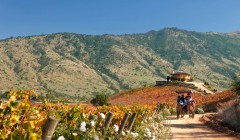 Horse drawn carriage colchagua valley klein