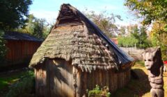 Kila leufu