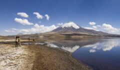 Lauca Nationalpark