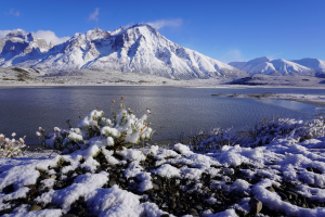 Los Cisnes Lagoon