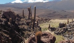 Pd atacama 3 3