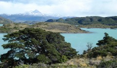 Pd patagonien 5 3