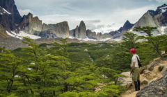 Torres del Paine Park