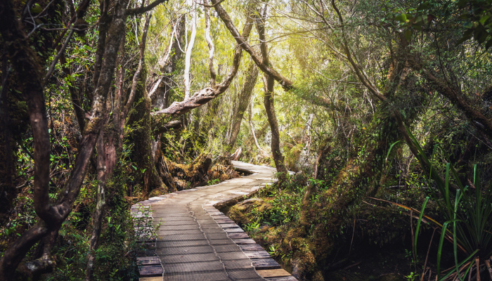 Parque nacional Chiloé