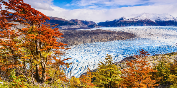 Grey lake in autumn