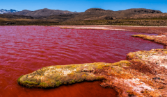 Red lagoon, region Parinacota