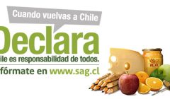 Sag 1