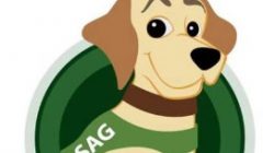 Sag 2