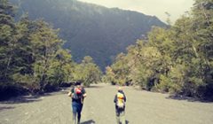 Sendero nl2