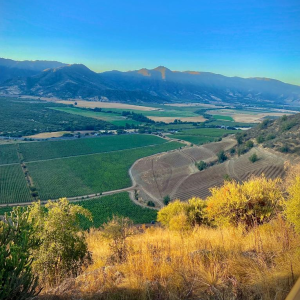 Valle de colchagua view