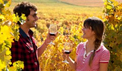 Wine tasting colchagua valley by juan jäger klein