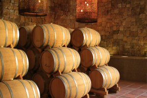 Pisco barrels