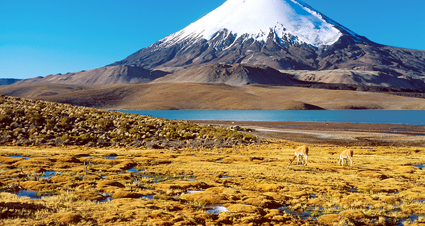 travelArt – Chile