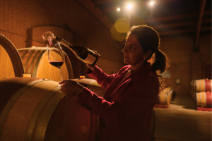 Wine tour