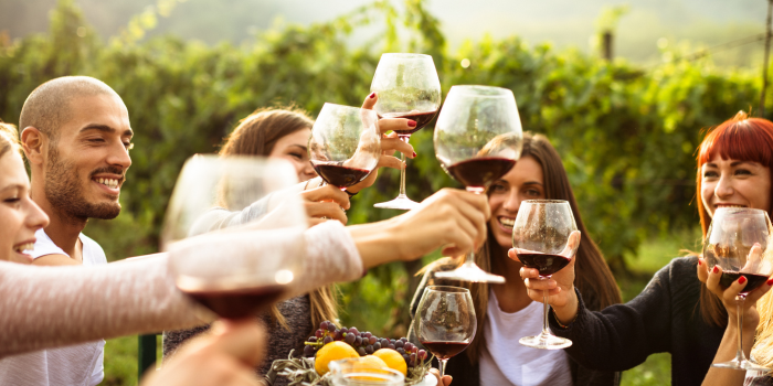 Wine tourism chile